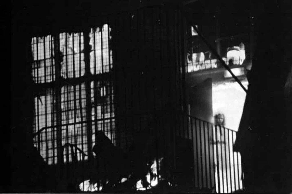 Copia de la fotografía de la niña fantasma de Wem, tomada por Tony O'Rahilly, en 1995